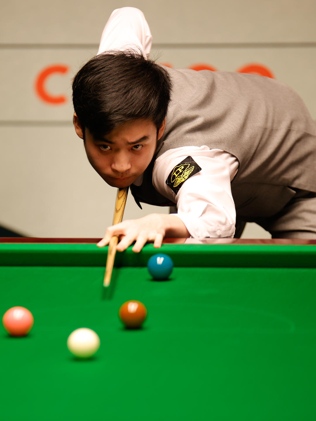 只有健康的 只有健康的