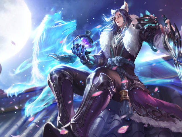 不仅展示了 不仅展示了