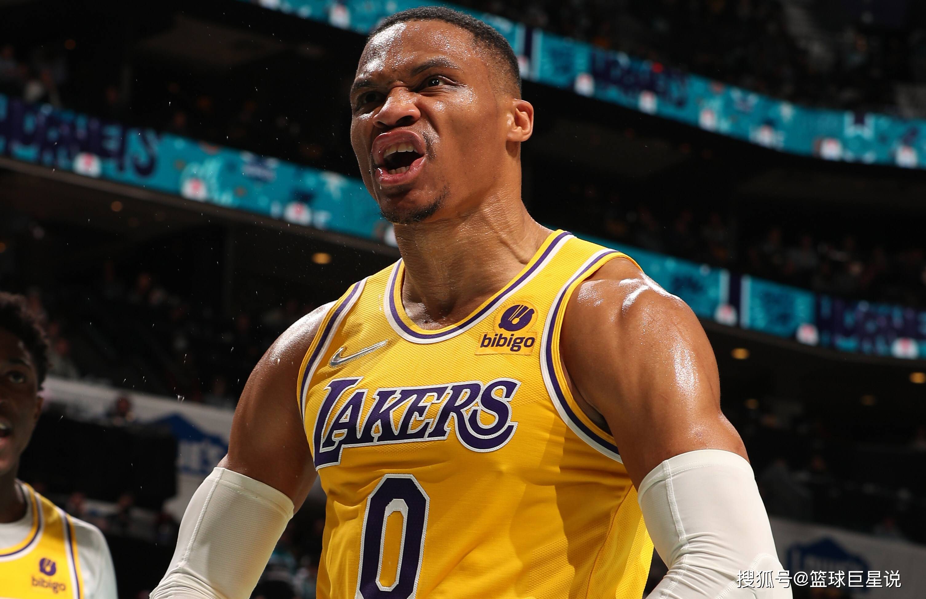 数最多的十 数最多的十